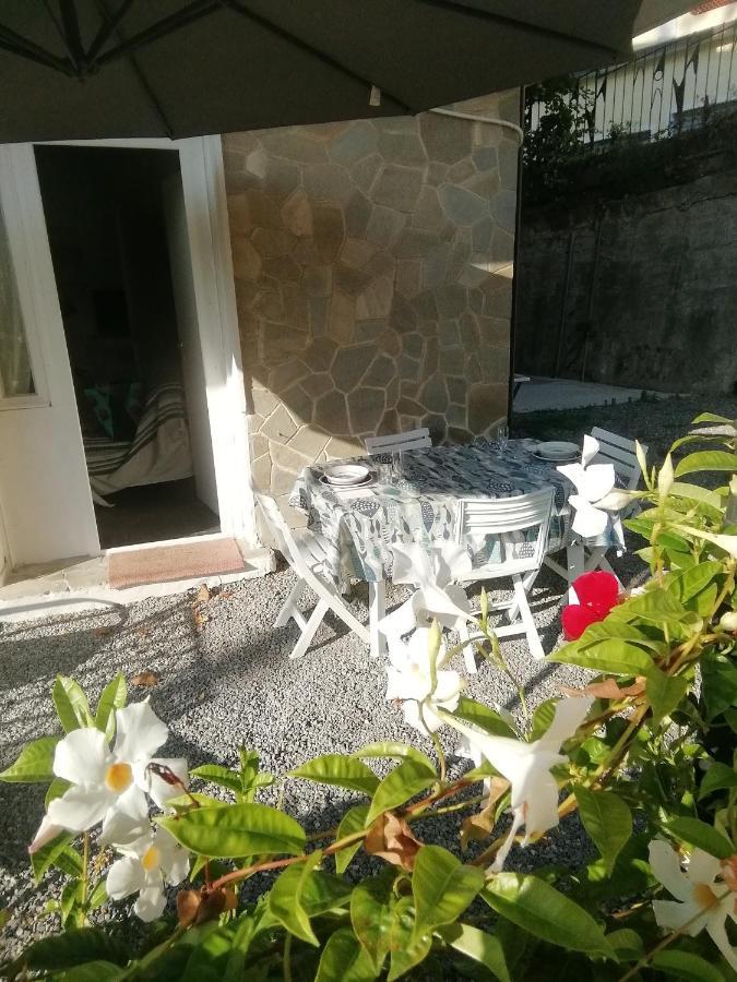 Villa Daniela - Mare E Relax 圣雷默 外观 照片